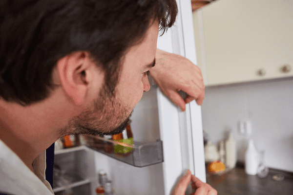 inspect door gaskets if refrigerator won't cool 